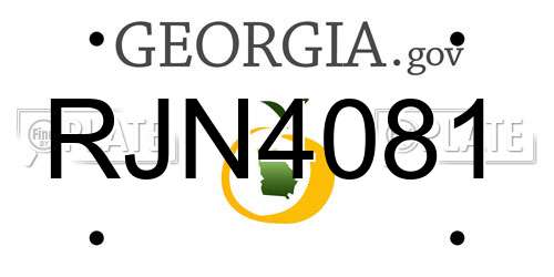 RJN4081 Georgia License Plate