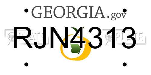RJN4313 Georgia License Plate