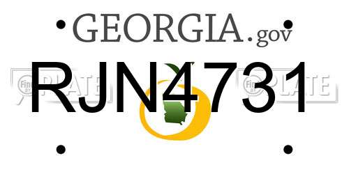 RJN4731 Georgia License Plate