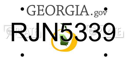 RJN5339 Georgia License Plate