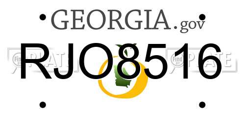 RJO8516 Georgia License Plate