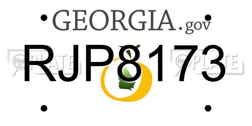 RJP8173 Georgia License Plate