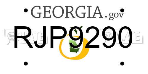 RJP9290 Georgia License Plate