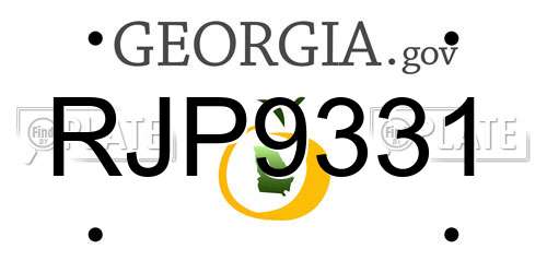 RJP9331 Georgia License Plate