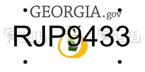 RJP9433 Georgia License Plate