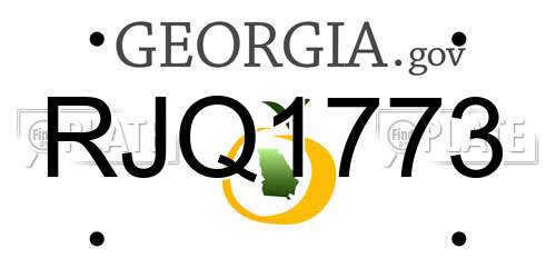 RJQ1773 Georgia License Plate