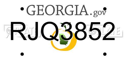 RJQ3852 Georgia License Plate