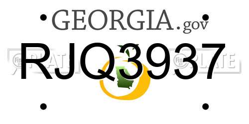 RJQ3937 Georgia License Plate