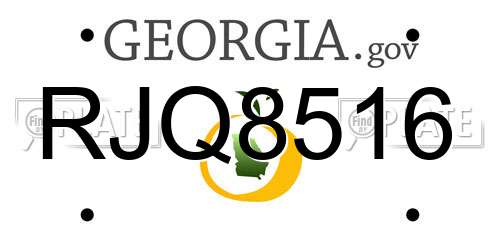 RJQ8516 Georgia License Plate