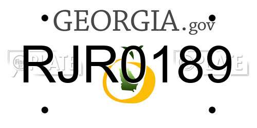 RJR0189 Georgia License Plate