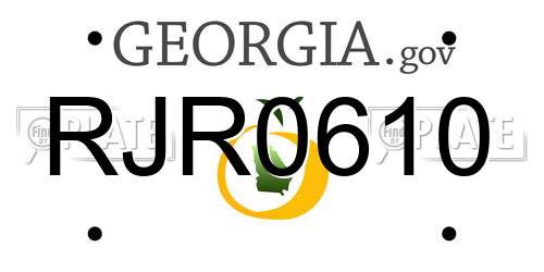 RJR0610 Georgia License Plate
