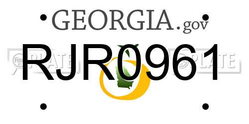 RJR0961 Georgia License Plate