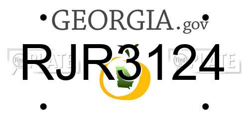 RJR3124 Georgia License Plate