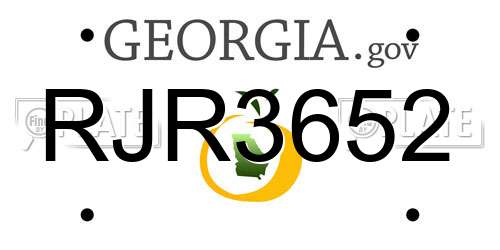 RJR3652 Georgia License Plate