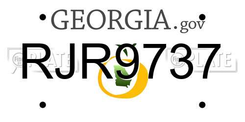 RJR9737 Georgia License Plate