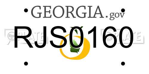 RJS0160 Georgia License Plate