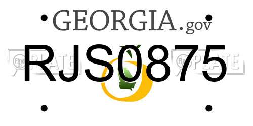 RJS0875 Georgia License Plate
