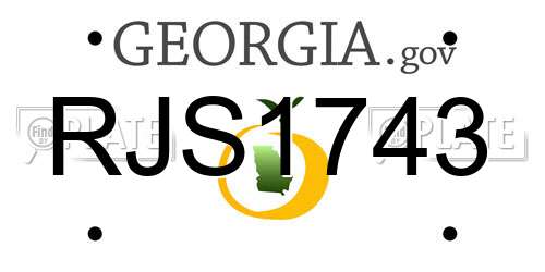 RJS1743 Georgia License Plate