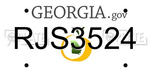 RJS3524 Georgia License Plate