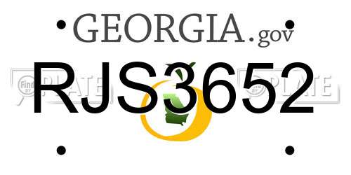 RJS3652 Georgia License Plate