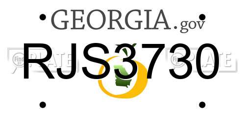RJS3730 Georgia License Plate