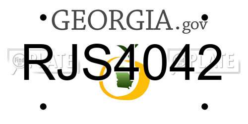RJS4042 Georgia License Plate