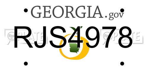 RJS4978 Georgia License Plate