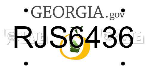 RJS6436 Georgia License Plate