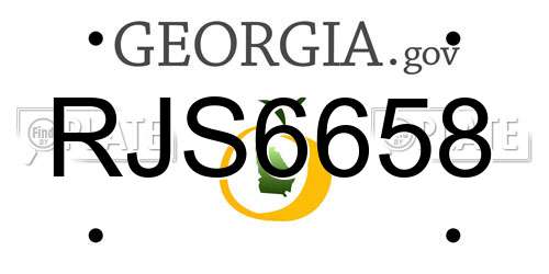 RJS6658 Georgia License Plate