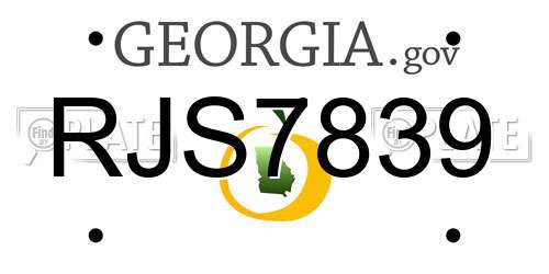RJS7839 Georgia License Plate