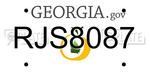 RJS8087 Georgia License Plate
