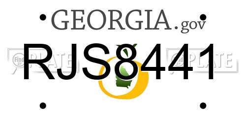 RJS8441 Georgia License Plate