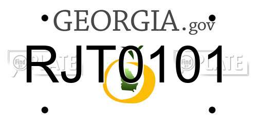 RJT0101 Georgia License Plate