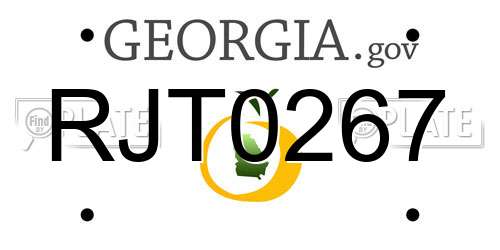 RJT0267 Georgia License Plate