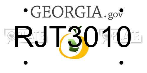 RJT3010 Georgia License Plate