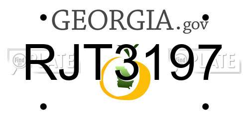 RJT3197 Georgia License Plate