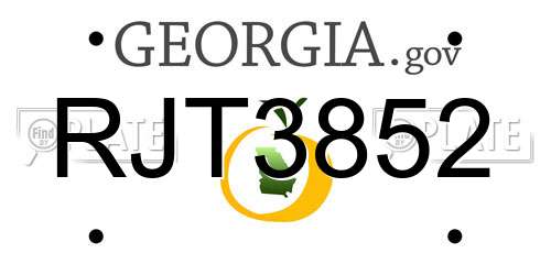 RJT3852 Georgia License Plate