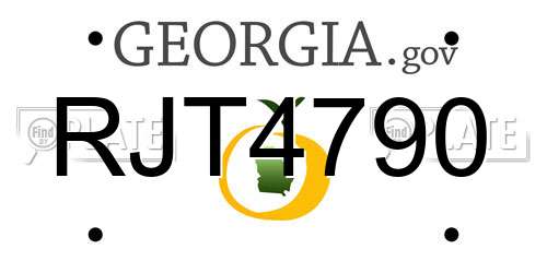 RJT4790 Georgia License Plate
