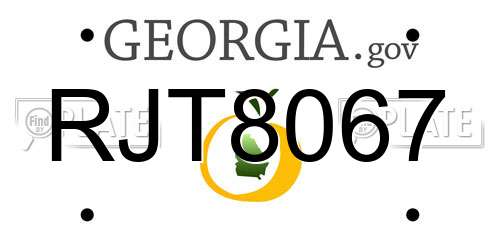 RJT8067 Georgia License Plate