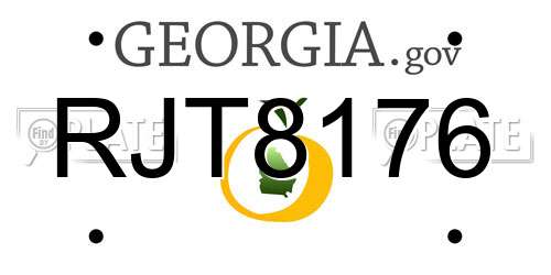 RJT8176 Georgia License Plate
