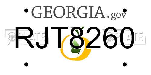 RJT8260 Georgia License Plate