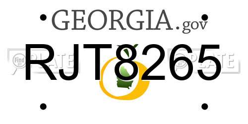 RJT8265 Georgia License Plate