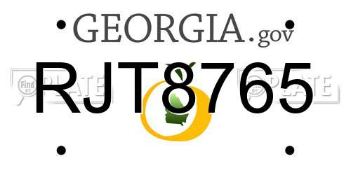 RJT8765 Georgia License Plate