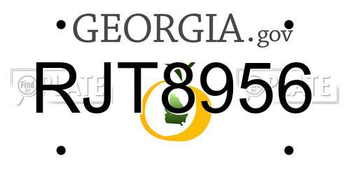 RJT8956 Georgia License Plate