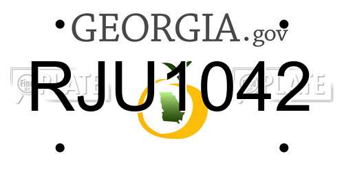 RJU1042 Georgia License Plate