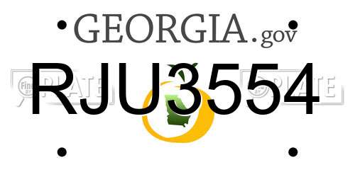 RJU3554 Georgia License Plate