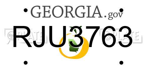RJU3763 Georgia License Plate