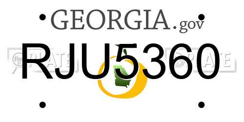 RJU5360 Georgia License Plate