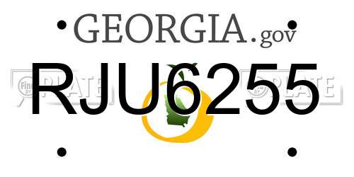 RJU6255 Georgia License Plate