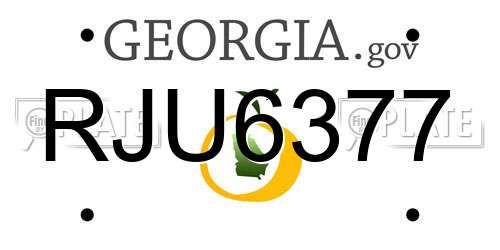 RJU6377 Georgia License Plate